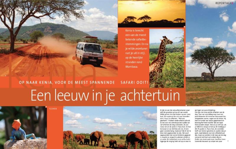 Een leeuw in je achtertuin
